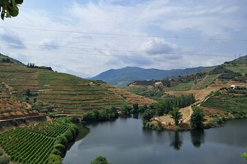 Explore the Wonders of Douro Valley, All Inclusive with LOP Tours