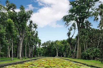 Private North Day Tour: Botanical Garden, Sugar Museum, 
