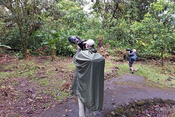 Arenal Half-day Birding and Photography
