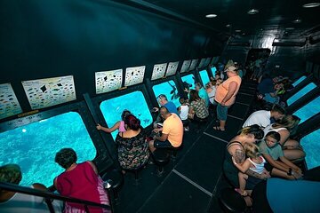 One Trip, Two Perspectives: Discover the Sea by Scuba & Snorkel