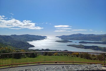 Half-Day Christchurch Scenic Highlights Shore Excursion