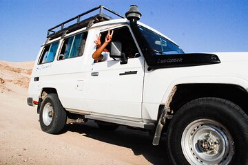 Desert Safari: Quad Bikes, Camels, Bedouin BBQ & Traditional Show