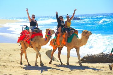 Camel Ride Tour in Los Cabos
