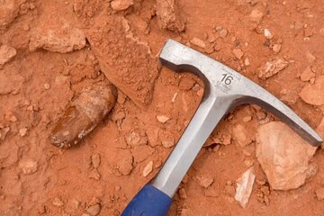 Sahara Desert Fossil Hunting Experience 
