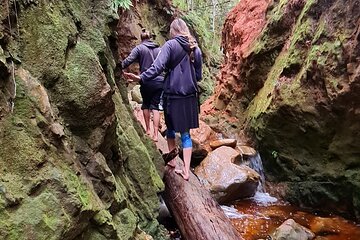 Explore the wild side of Kirstenbosch Gardens