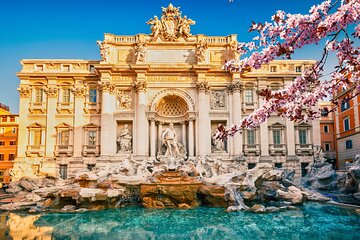Private transfer from Florence to Rome