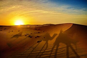 Camel Ride Dubai With Bedouin Breakfast
