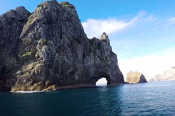 PRIVATE TOUR - Bay of Islands Discovery From Auckland