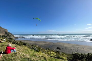  Auckland Harbour And Muriwai Black Sand Beach Private Tour