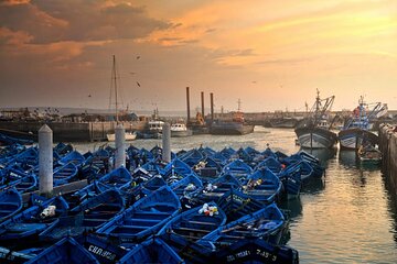 Essaouira from Marrakech History Ocean and Culture