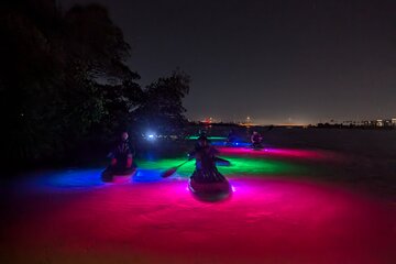 Bioluminescent Comb Jelly & LED Kayak / Paddle board Excursion 