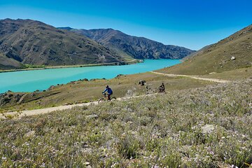 Lake Dunstan Discovery Cycling Tour