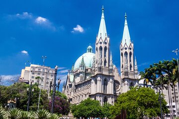 Sao Paulo Centro Downtown Highlights Private Walking Tour 