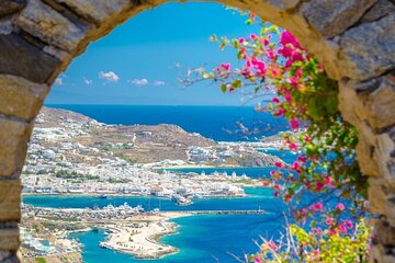 Half Day Mykonos Shore Excursion from Cruise Port