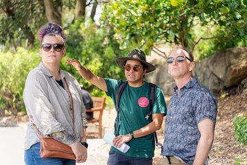 Native Australian Food, Wine, Sydney Botanical Garden Forage Tour