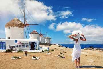 Mykonos Delights Tour from Cruise Port