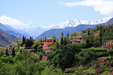 Discover the three valleys of the Atlas One-day experience