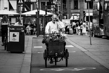 Copenhagen: 4-Hour Small-Group Bike Tour in French