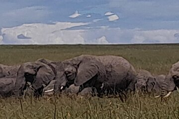 3 Days Amboseli Private Safari Tour