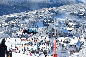 Private Mount Buller Snow and Ski Tours