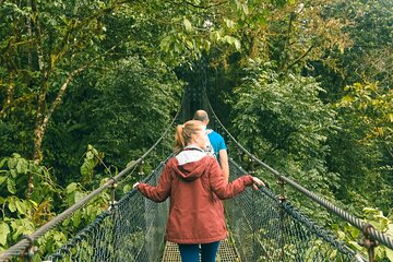 Arenal Hanging Bridges Nature Tour