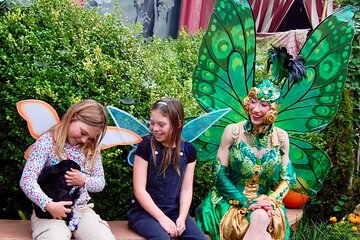 San Francisco Gregangelo Museum - Immersive Kids' Tour