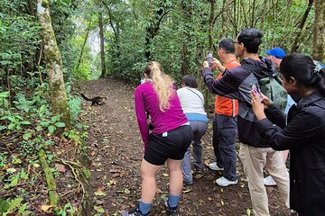 Cloud forest wonders guided tour