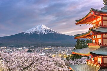 3 Days Tokyo, Mount Fuji and Nikko Private Tour