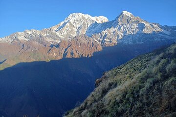 Experience Mardi Himal Trek 