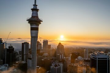 Auckland Half Day Attractions and Museums Tour