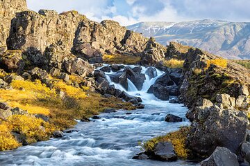 Exclusive Thingvellir National Park Private Day Tour