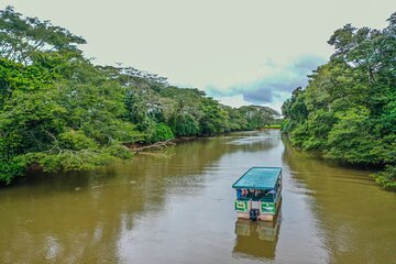 Full-Day Caño Negro Wildlife Refuge Boat Tour
