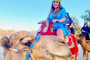 Agadir Camel Riding and flamingo river tour 