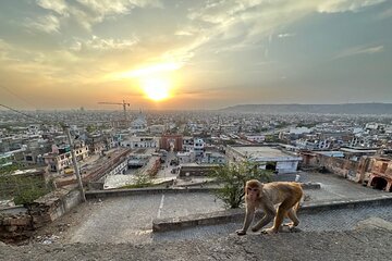 Jaipur Half-Day City Tour with Sunset View