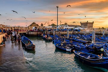 Essaouira Magical Day Trip from Marrakech