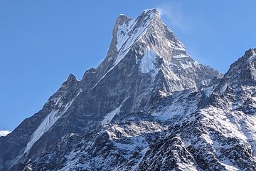 7 Days Mardi Himal Trek 