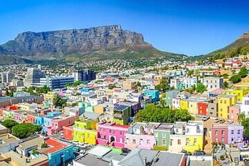 Half Day Cape Town City Sightseeing Tour Experience