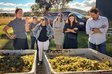 Sydney Grains and Grapes Hunter Valley Wine and Beer with Lunch