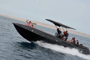 Dolphin Speed Boat Trip with Underwater Island