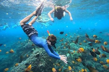 Blue Lagoon Snorkeling and Lunch with Visit Waterfall in Ubud