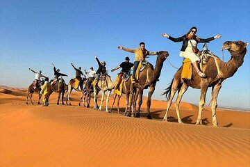 Overnight Desert Camp Stay and Camel Trekking in Merzouga