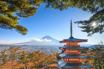 Small Group Mt. Fuji, Lake Yamanaka, Kawaguchi Hotel Drop Option