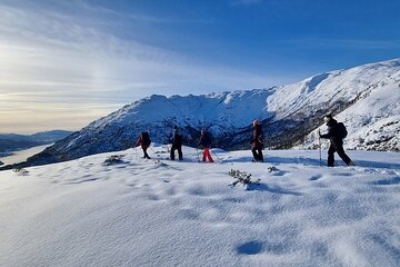 Snowshoe hiking Bergen Private Norway Mountain Guides