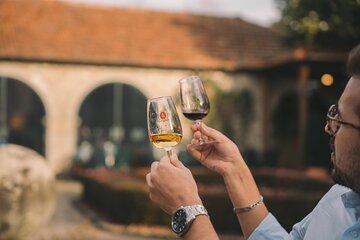 Porto: Taylor's Port Cellars Visit & Port Wine Tasting