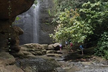 Rainforest Hike