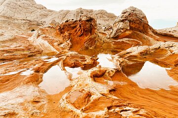 White Pocket Morning Off-Road Guided Hike Activity (Small Group) 