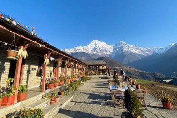  Pokhara to Ghandruk Gurung Village Hiking and Overnight stay 