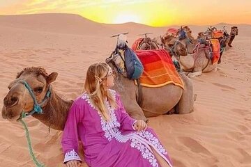 3 Day Desert Adventure Marrakech to Merzouga Dunes Camel Trek 