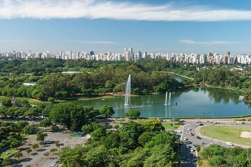 5 Hours Private Tour of Sao Paulo's Iconic Sights