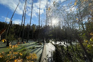 Guided hike in Berlin and Brandenburg incl. transport 